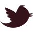 logo_twitter