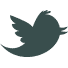 logo_twitter